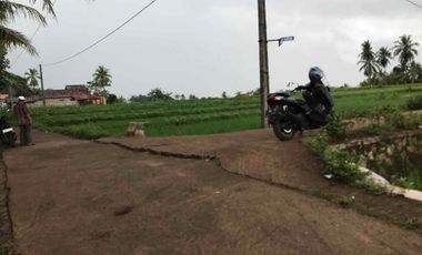 Sawah Produktif Murah,Pinggir Jln Aktif