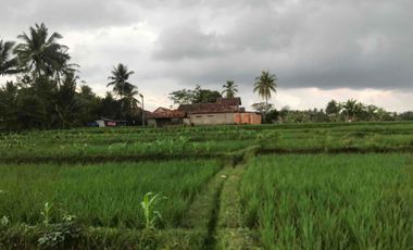 Sawah Produktif Murah,Pinggir Jln Aktif