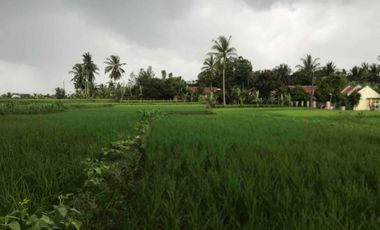 Sawah Produktif Murah,Pinggir Jln Aktif