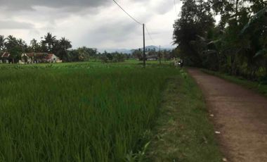 Sawah Produktif Murah,Pinggir Jln Aktif
