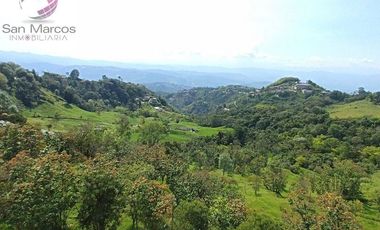 Arriendo apartamento 2 alcobas La Francia