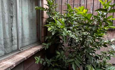 Se renta casa en GEOVILLAS de Jesús Maria