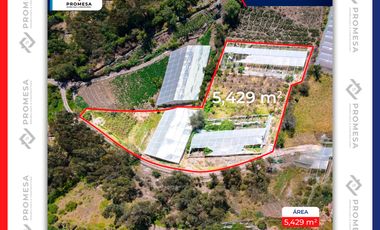 TERRENO EN VENTA - SALCEDO, Patain sector Ulivi, Ecuador