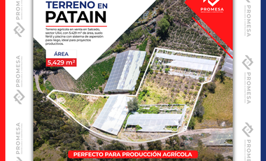 TERRENO EN VENTA - SALCEDO, Patain sector Ulivi, Ecuador