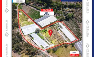 TERRENO EN VENTA - SALCEDO, Patain sector Ulivi, Ecuador