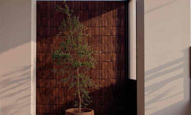 *Preventa de Casa en la Colonia Lago 1