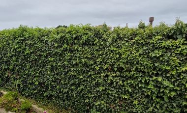 Venta De Casa En Barrio Residencial De Algarrobo