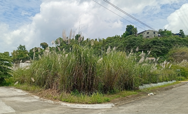 Subdivision Lot for Sale in Tawason Mandaue City