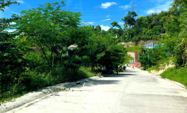 Subdivision Lot for Sale in Tawason Mandaue City