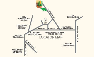 Subdivision Lot for Sale in Tawason Mandaue City