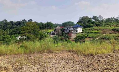 Jual Tanah Murah Tanjung Rasa Bogor