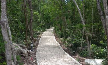 Departamento en Renta en Mayakoba, Playa del Carmen