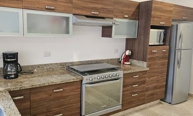 renta departamento amuebaldo