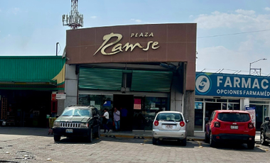 Local en Renta en Plaza Ramse