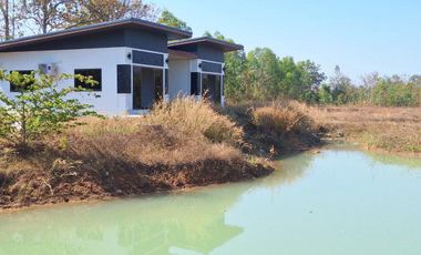 7+ Rai Kokh Nong Na Designed With 1 BRM, 1 BATH Home And Land For Sale, Phen, Udon Thani, Thailand
