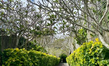 Villa Mewah Uluwatu Bali, Private Villa Dijual Lokasi Premium. #luxuryvillabali #villauluwatubali #villabalidijual #villabaliforsale #villapecatu #