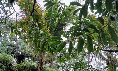 VENDO TERRENO ESQUINERO HERMOSA VISTA, URB CASCADA AZUL