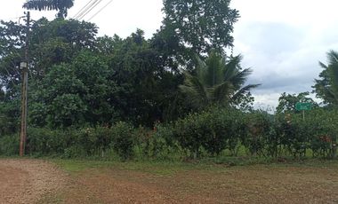 VENDO TERRENO ESQUINERO HERMOSA VISTA, URB CASCADA AZUL