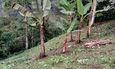 VENDO TERRENO ESQUINERO HERMOSA VISTA, URB CASCADA AZUL