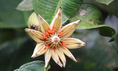 VENDO TERRENO ESQUINERO HERMOSA VISTA, URB CASCADA AZUL