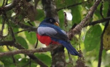 VENDO TERRENO ESQUINERO HERMOSA VISTA, URB CASCADA AZUL
