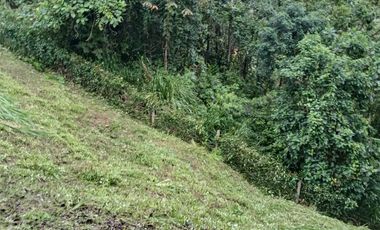 VENDO TERRENO ESQUINERO HERMOSA VISTA, URB CASCADA AZUL