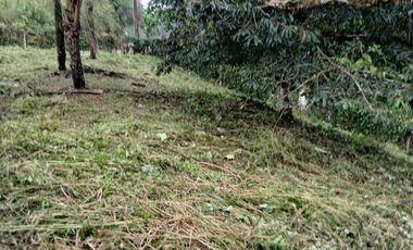 VENDO TERRENO ESQUINERO HERMOSA VISTA, URB CASCADA AZUL