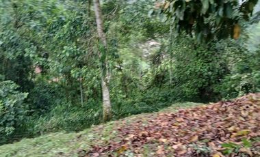 VENDO TERRENO ESQUINERO HERMOSA VISTA, URB CASCADA AZUL