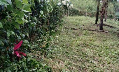 VENDO TERRENO ESQUINERO HERMOSA VISTA, URB CASCADA AZUL