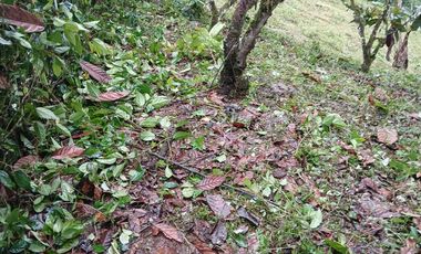 VENDO TERRENO ESQUINERO HERMOSA VISTA, URB CASCADA AZUL