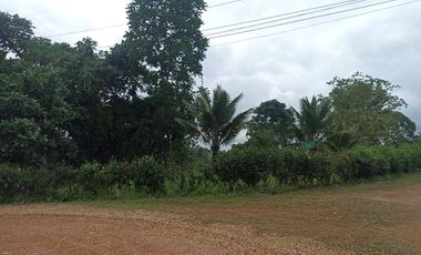 VENDO TERRENO ESQUINERO HERMOSA VISTA, URB CASCADA AZUL