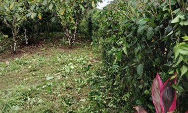 VENDO TERRENO ESQUINERO HERMOSA VISTA, URB CASCADA AZUL