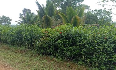 VENDO TERRENO ESQUINERO HERMOSA VISTA, URB CASCADA AZUL