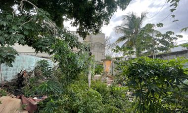 TERRENO EN VENTA A UNA CUADRA DE LA QUINTA AVENIDA.  Con alta plusvalía, a unos pasos de playas.