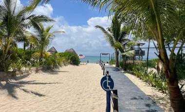 TERRENO EN VENTA A UNA CUADRA DE LA QUINTA AVENIDA.  Con alta plusvalía, a unos pasos de playas.