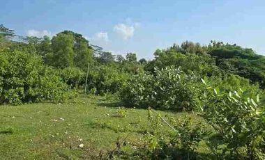 dijual tanah 4960m² IDR 275 juta per are dekat poltekpar Bali STP nusa dua