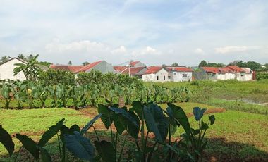 Kavling CICIL 3 THN Dekat Stasiun Cilebut