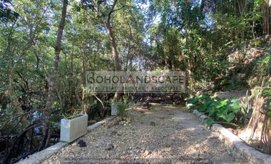 Waterfront Home for Sale located in Manga, Tagbilaran City, Bohol