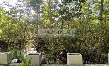 Waterfront Home for Sale located in Manga, Tagbilaran City, Bohol