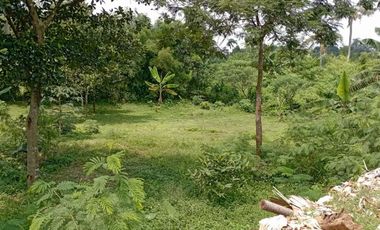 Jual Lahan datar yang cocok untuk perumahan di Limo Depok