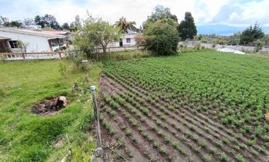 RENTO FINCA EN EL QUINCHE 2.500 MTS MAS CASA