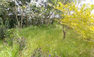 RENTO FINCA EN EL QUINCHE 2.500 MTS MAS CASA