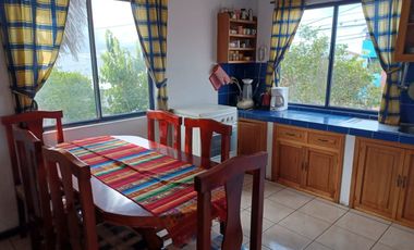 HERMOSA PROPIEDAD DE DOS DEPARTAMENTOS Y UNA CASITA RUSTICA EN EL JARDIN.