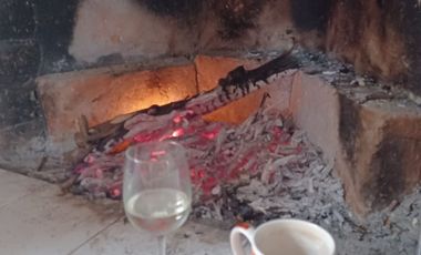 HERMOSA PROPIEDAD DE DOS DEPARTAMENTOS Y UNA CASITA RUSTICA EN EL JARDIN.