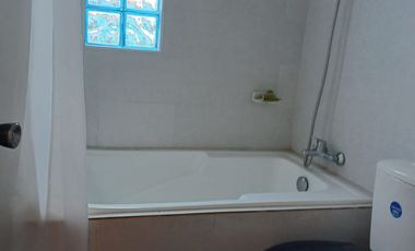 HERMOSA PROPIEDAD DE DOS DEPARTAMENTOS Y UNA CASITA RUSTICA EN EL JARDIN.