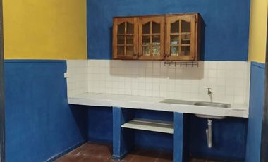 HERMOSA PROPIEDAD DE DOS DEPARTAMENTOS Y UNA CASITA RUSTICA EN EL JARDIN.