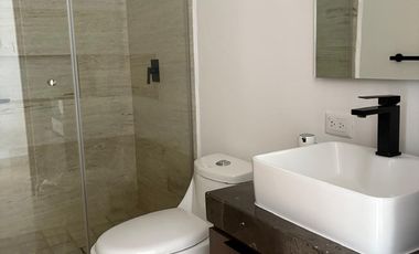 Renta departamento amuebaldo Torre Agora san luis potosi