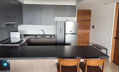 Renta departamento amuebaldo Torre Agora san luis potosi