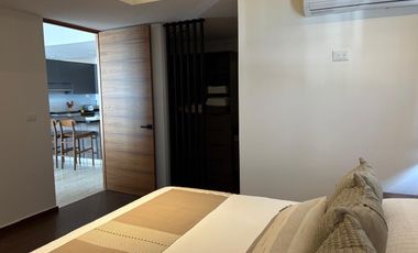 Renta departamento amuebaldo Torre Agora san luis potosi