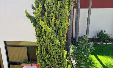 Renta de casa en privada lomas cuarta seccion